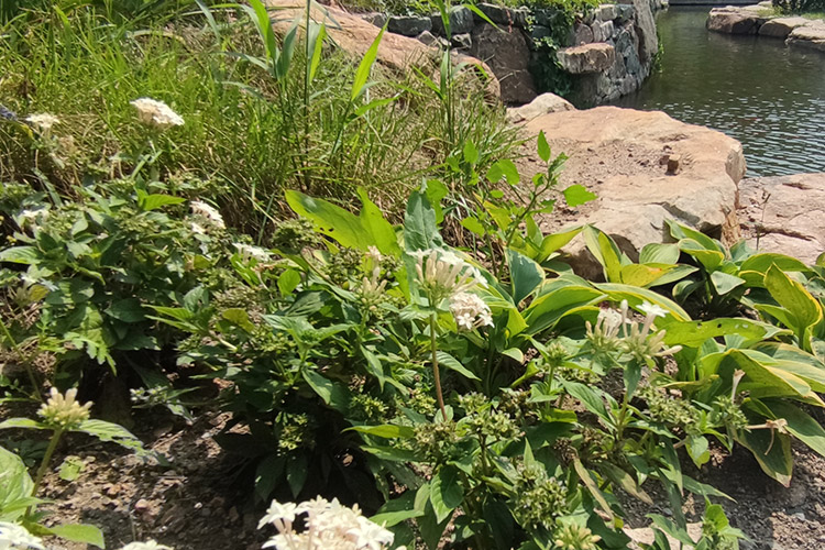 沈陽鐵嶺陵園風水格局的講究是怎樣的