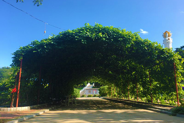 沈陽大河貝墓地公墓過年要上墳祭祖