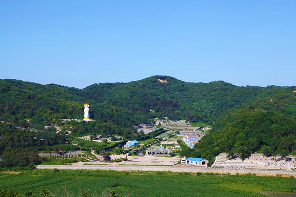 植物對(duì)沈陽(yáng)墓地風(fēng)水有何影響？植物與風(fēng)水的聯(lián)系