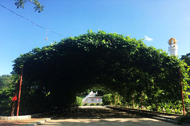 買鐵嶺墓園公墓需要注意哪些細(xì)節(jié)？常見的沈陽墓園墓地類型有哪些?