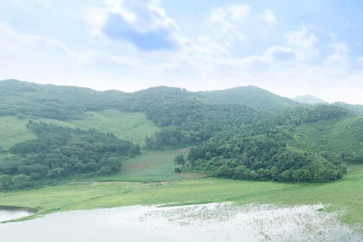 沈陽大河貝生態墓園是經營性墓地的還是公益性公墓？