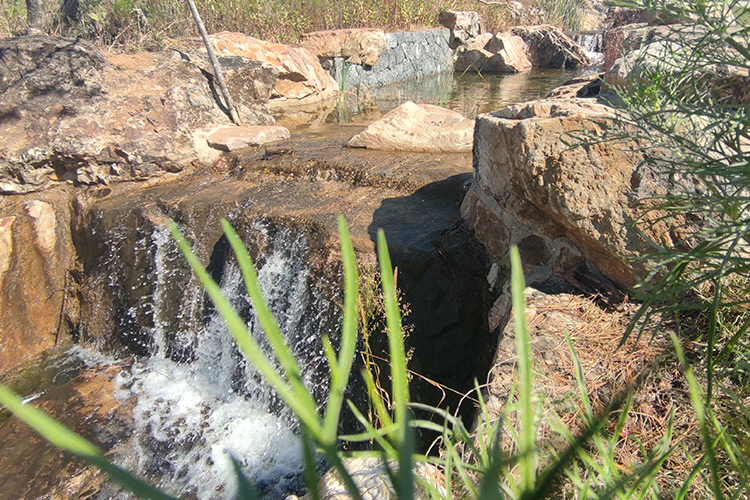 鐵嶺墓園公墓運營管理研究