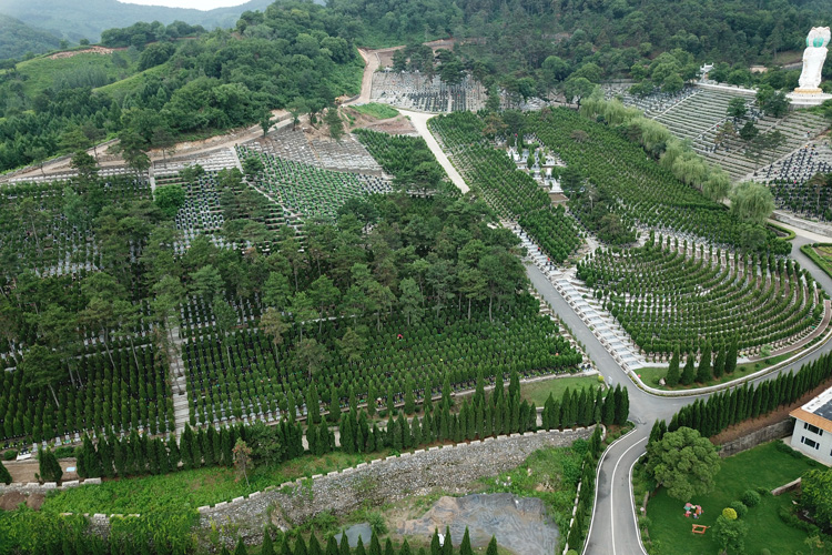 沈陽陵園是否有提供墓地祈福和祭奠的活動？
