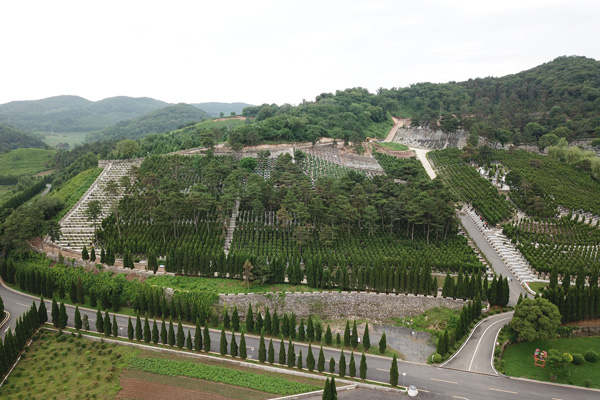 沈陽墓地的面積大小對墓地選擇有何影響？