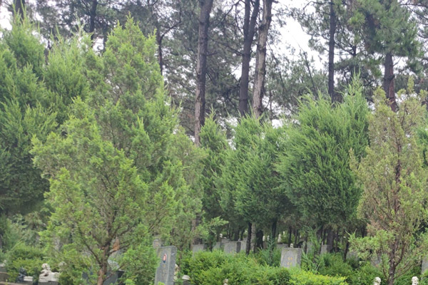 在沈陽墓地購墓前，需要了解哪些主要的購墓須知？