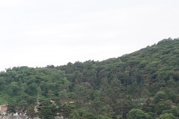 沈陽陵園花壇葬有哪些優(yōu)點(diǎn)？