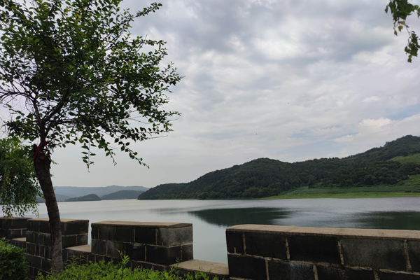 沈陽墓園不續(xù)費(fèi)會(huì)扔骨灰嗎？