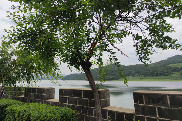 遼寧大河貝生態息園是否提供專業的1對1咨詢服務？