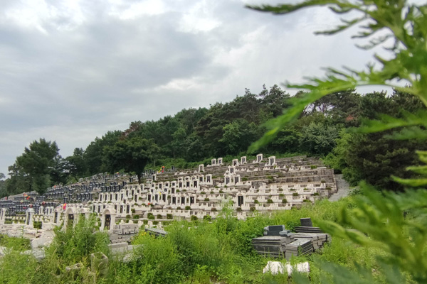 預約看沈陽墓地時如何規(guī)劃時間和行程？