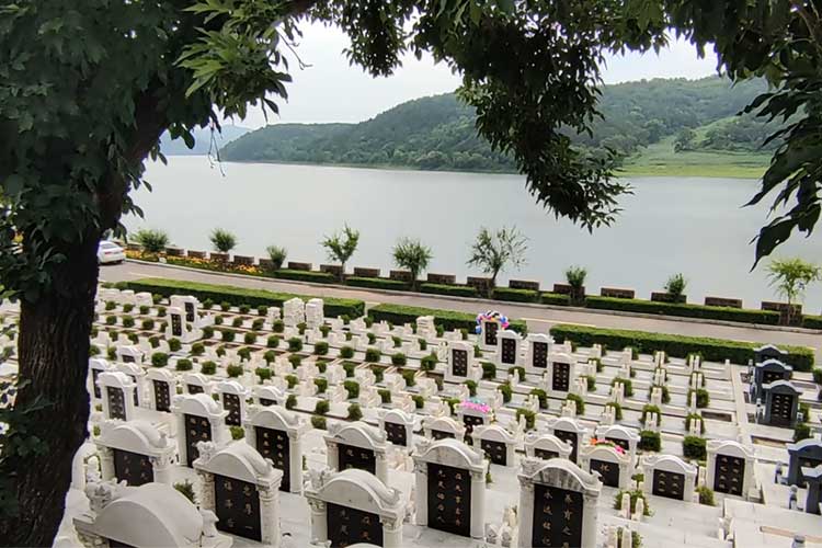 沈陽大河貝墓園清明大放價：萬元減免，攜手生態葬倡導綠色殯葬理念