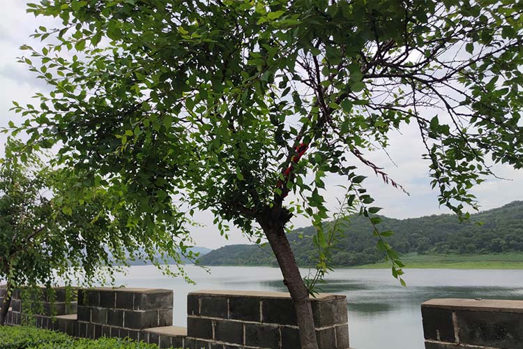 沈陽墓地安葬流程的正確步驟及注意事項有哪些？