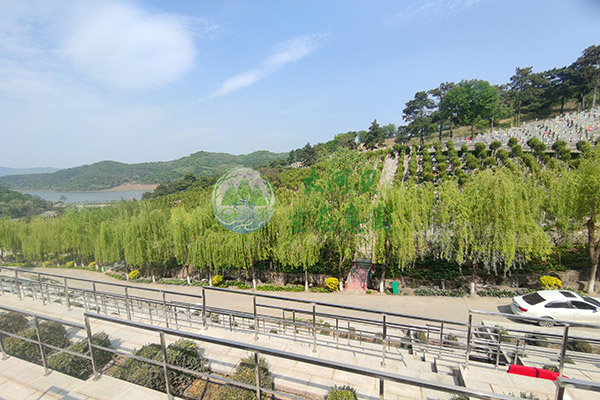 買沈陽陵園包含哪些費用？管理費收費標準是什么？