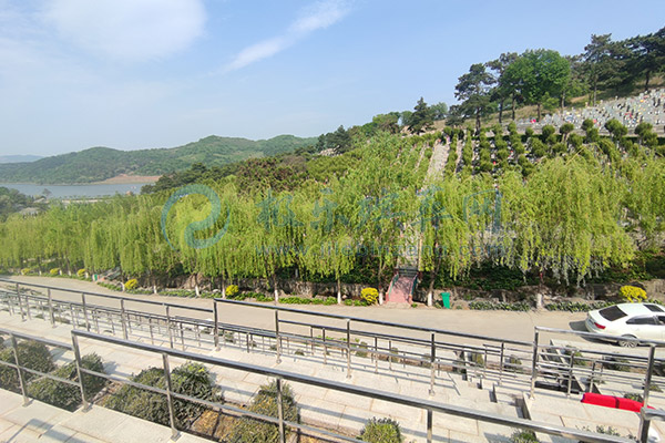 購買沈陽墓地時，如何確保既省錢又滿意？