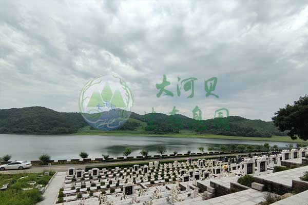 大河貝墓園：綠意盎然中的生命禮贊