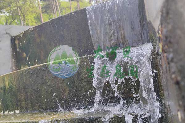 沈陽大河貝墓園全方位服務，價格實惠