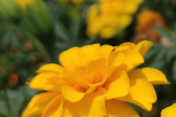 挑選優質沈陽墓地指南：環境、服務與性價比全解析